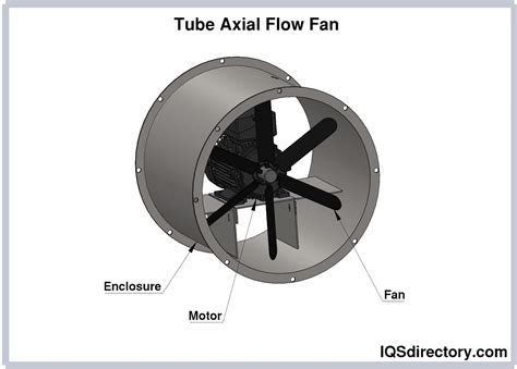 FansTube .